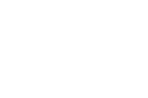 ZERO PILLOW